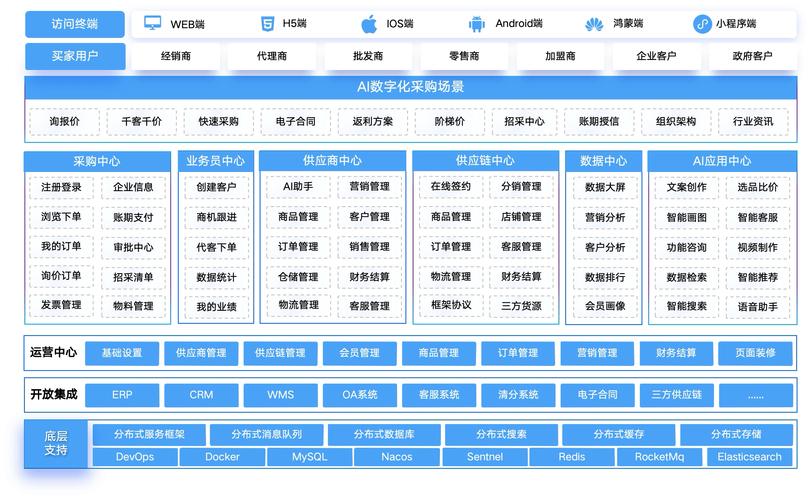B2C网络，探索其结构与潜力