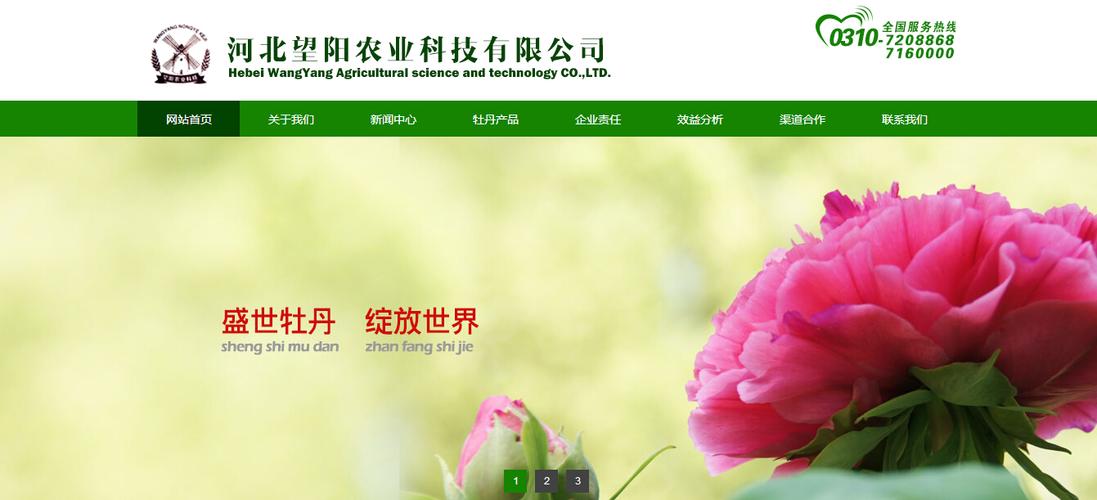 邯郸网站建设服务报价指南
