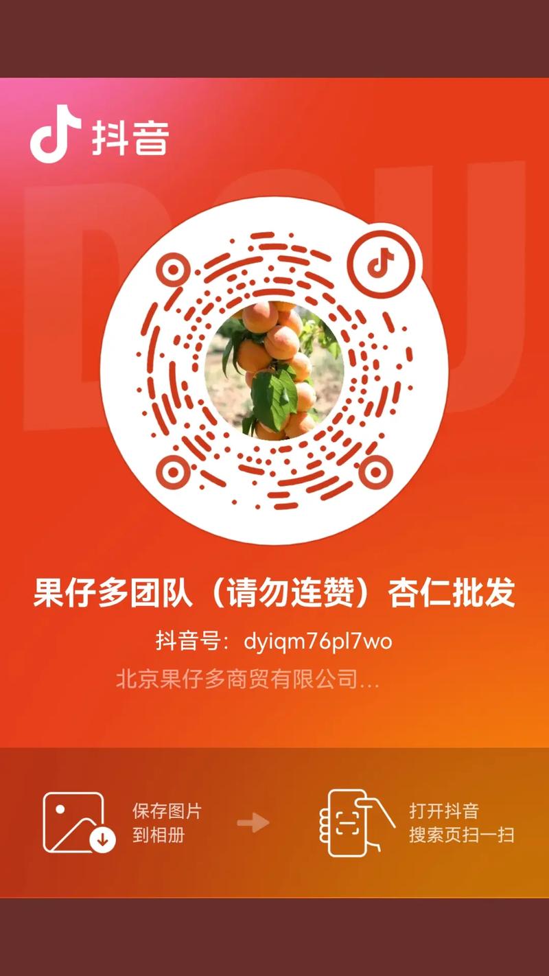 dy赞平台，等级快速获取与赞点支付指南