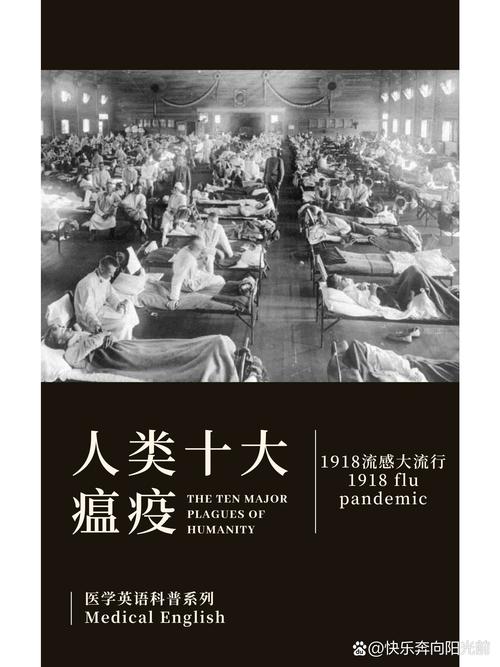 美国沃维科疫情,全球公共卫生危机的全史与启示