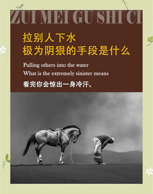 如何在灌阳方案网络推广中立于不败之地