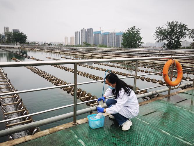 郑州水厂最新疫情消息，防护措施和经济影响分析