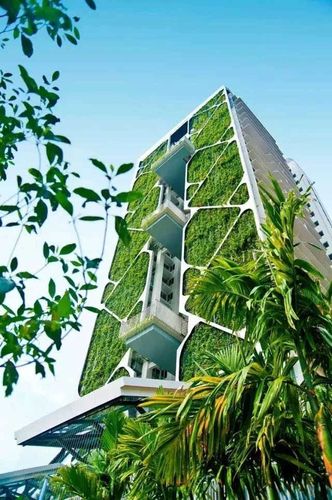 榆垡网站建设指南，构建未来商业的绿色未来