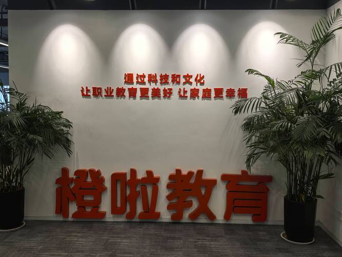 顺义高端网站的必修课,打造专业、权威、精准的高端形象