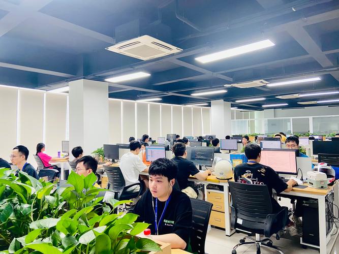 选择合适的网络公司