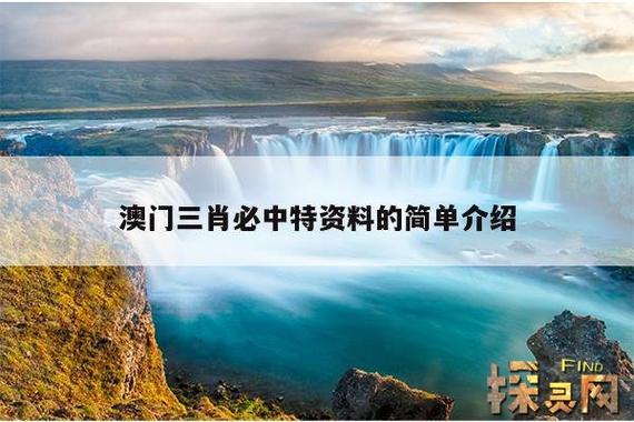 特虎网络指南,打造成功的企业品牌