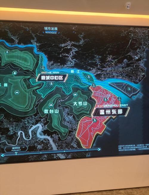 温州市区网络推广优化策略,从现状到未来
