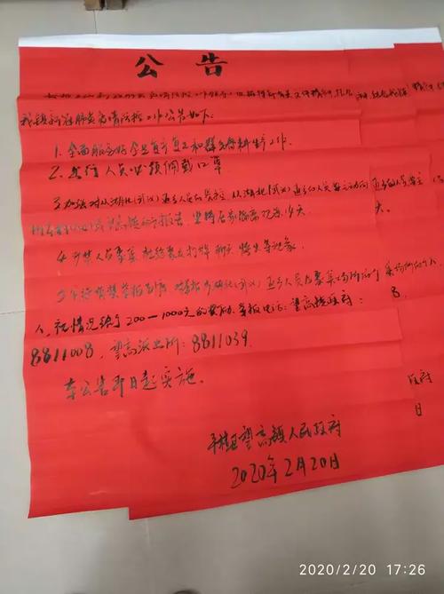 乐平同乐疫情最新消息，全球抗疫的时刻