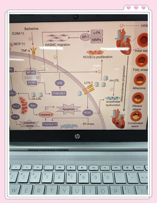 医学网站设计与内容创作的实践指南