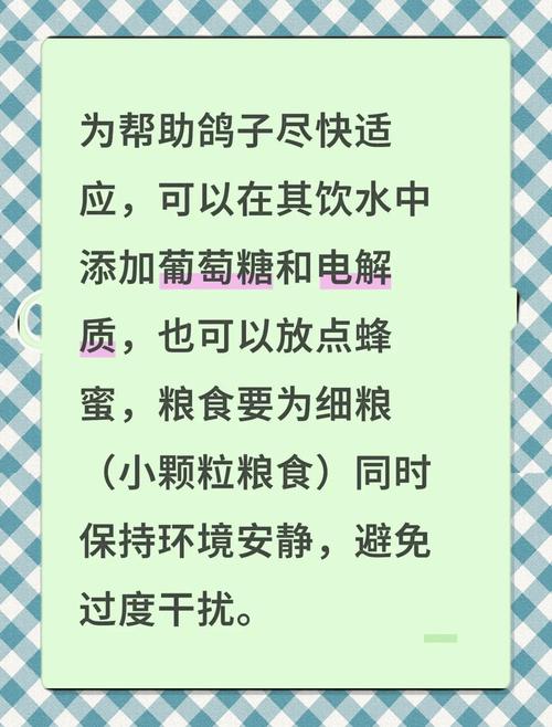 铁岭疫情最新动态,防控措施、社会影响及应对指南
