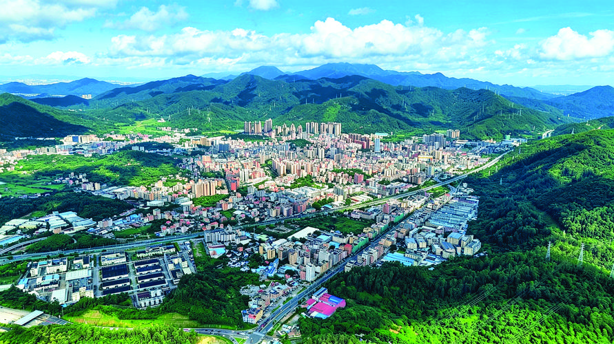 惠阳专业网站建设指南