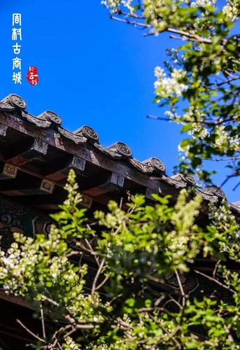 灿水之源 网络之旅,探索眉山的旅游与网络平台