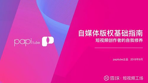dy赞平台,如何避免浏览量后果?自媒体作者指南