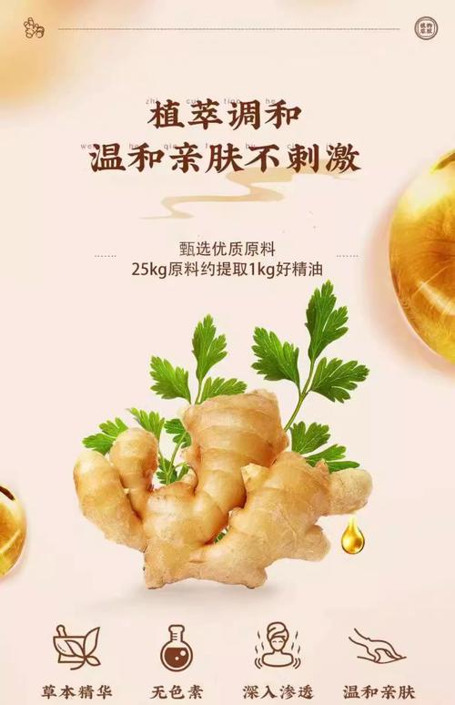 SEO美容，从目标市场到精准营销，如何让美容产品真正发光发热