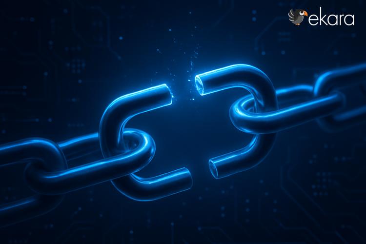湖南网络域名公司，Choosing the Right Solution for Your Digital Needs