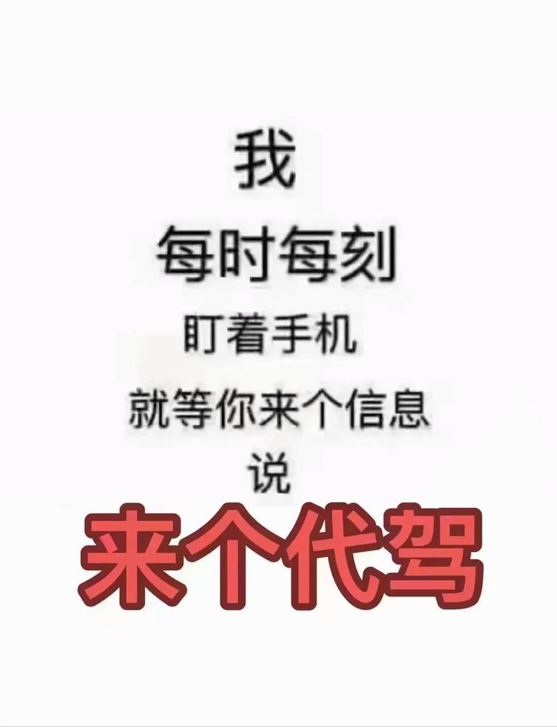 高效完成,你的代驾助手
