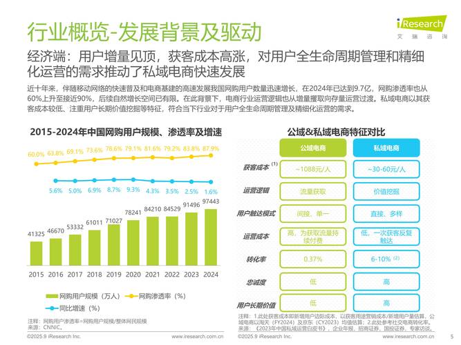 223年网络开发公司趋势,机遇与挑战