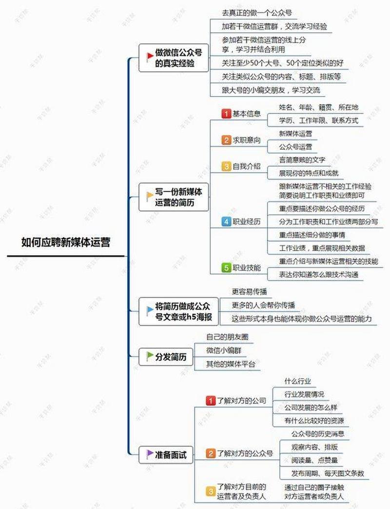 网站运营专家的心得分享,如何高效分配网站开发人员