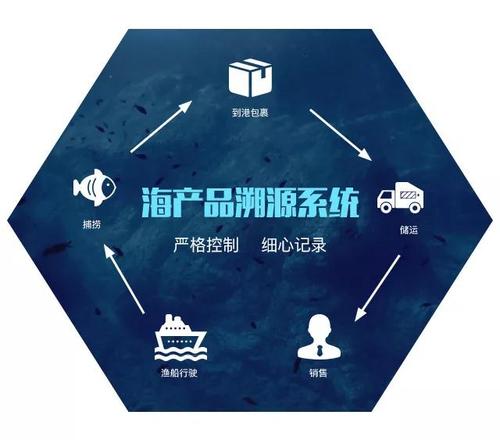 俄罗斯水产疫情最新消息，全球公共卫生的新挑战