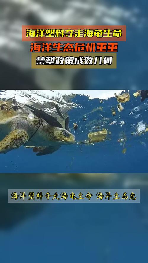 海疫情，威胁海洋生态的最新挑战