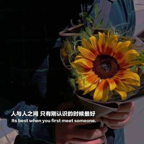 技术背景，抖音自助刷赞，轻松出货！