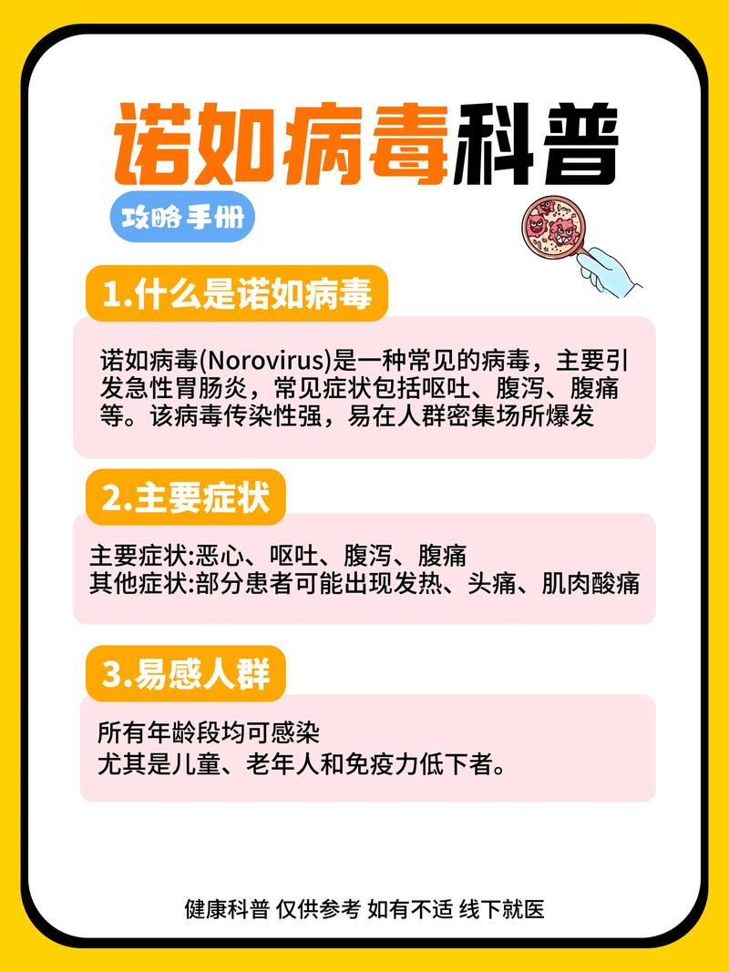 病毒通报解读，疫情信息发布背后的意义与启示