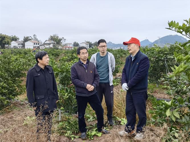 武汉芜湖疫情,防控指南与专家指导