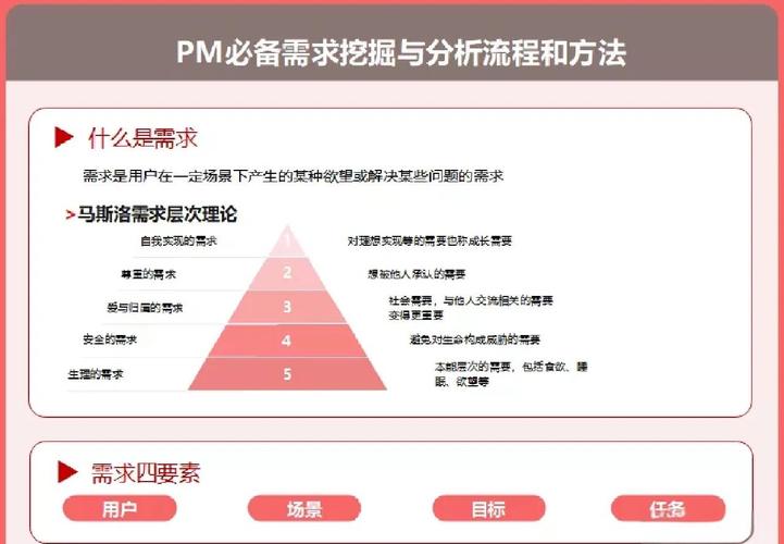 从需求分析到维护优化,全面的网站建设指南