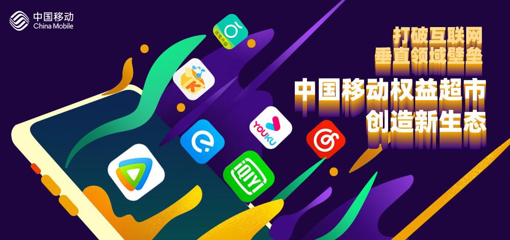 博罗中山网络公司,互联网领域的开拓者