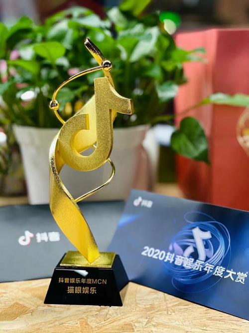 在抖音等短视频平台上,内容创作者可以通过评论和点赞来增加粉丝互动,提升活跃度。以下是一些相关建议和策略
