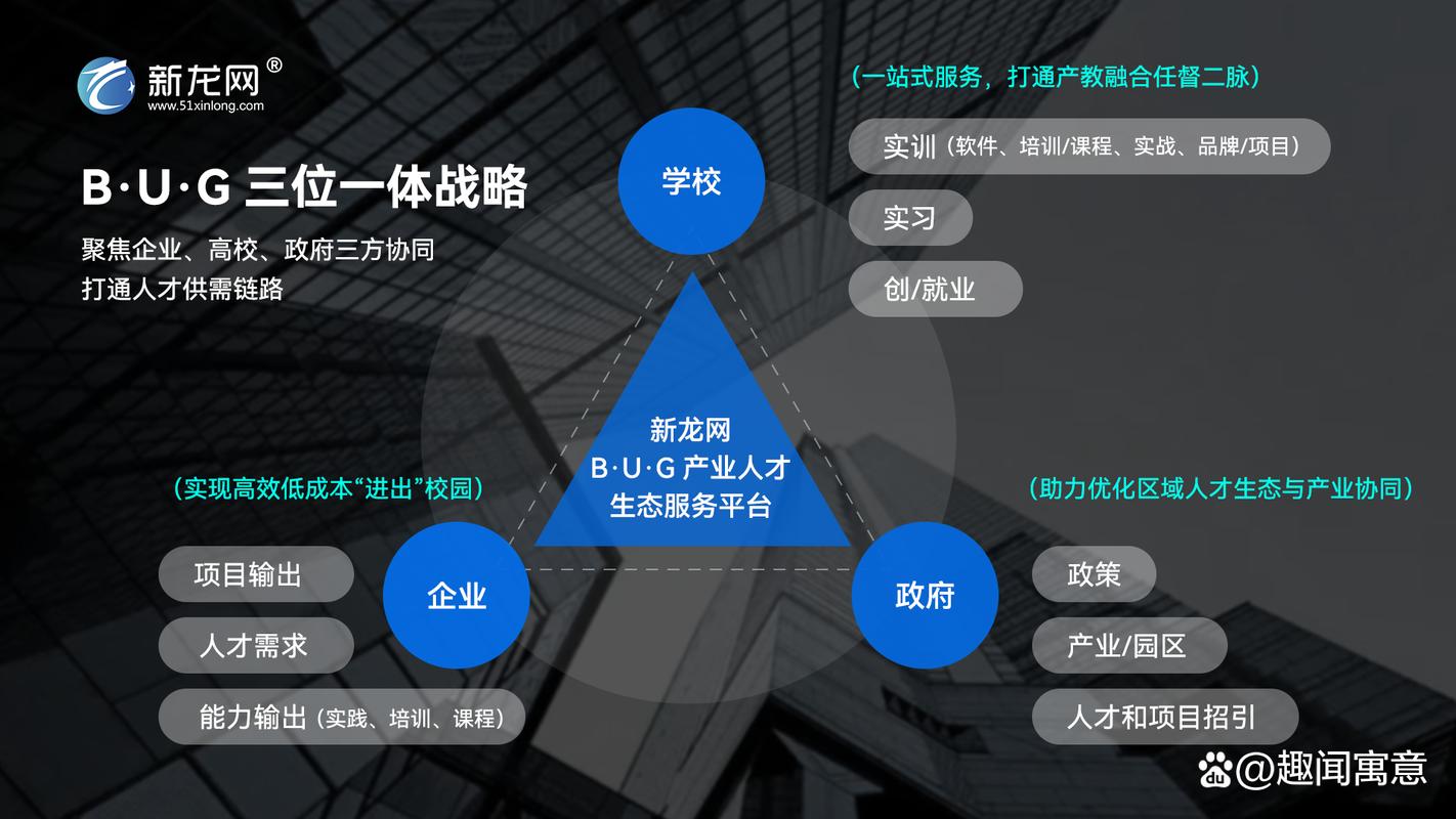 大型网络公司，生存之道，从战略到执行