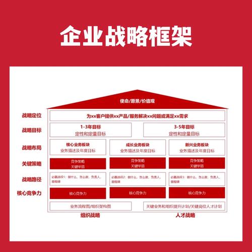大型网络公司,生存之道,从战略到执行
