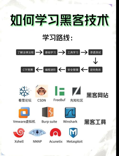制作网络软件，从入门到精通，手把手教学指南