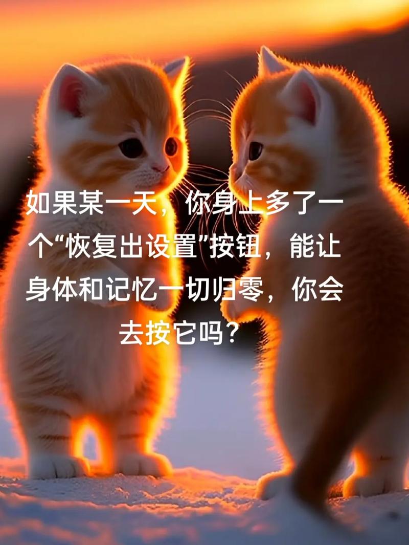 代刷平台，connect 与 你 爱