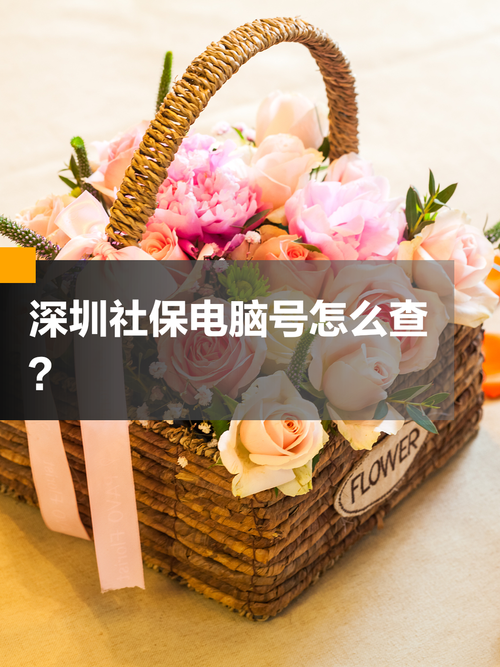 社保个人电脑号查询指南,电脑管家升级 win1 完全指南