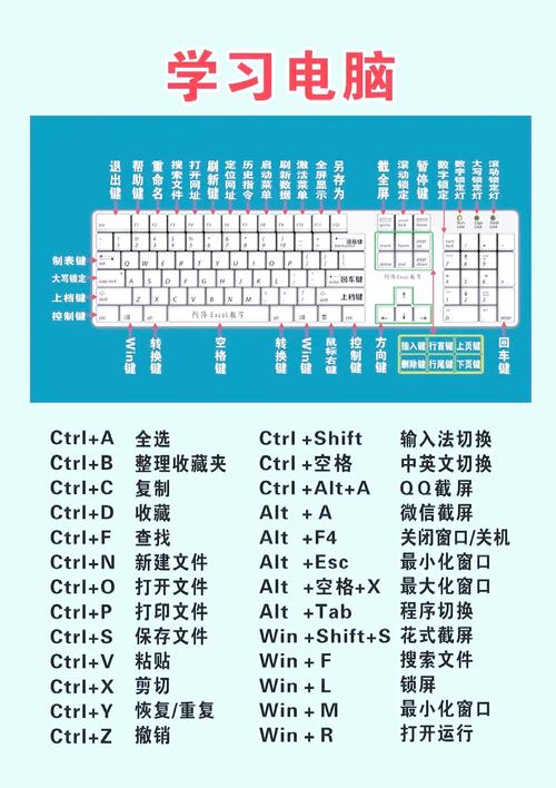 电脑入门指南，从零到十的电脑基础知识