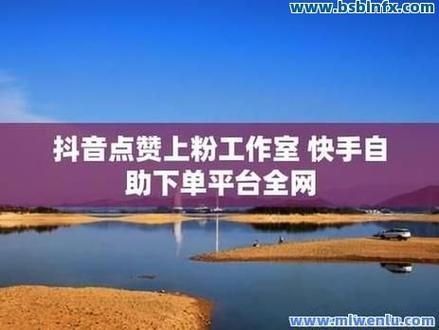 抖音赞线平台,助您轻松获取播放量与赞线