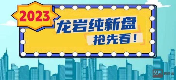 龙岩网站建设公司介绍