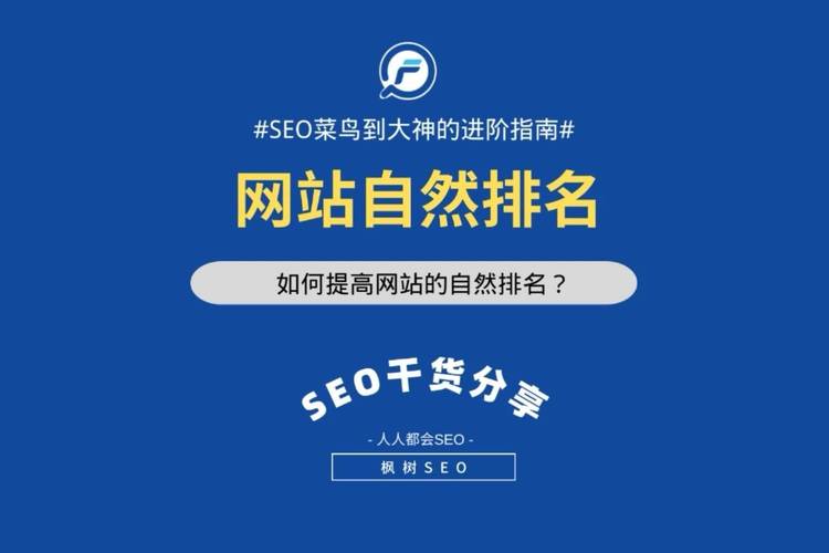 玉林SEOBuilder,让网站在玉林胜出的SEO专家