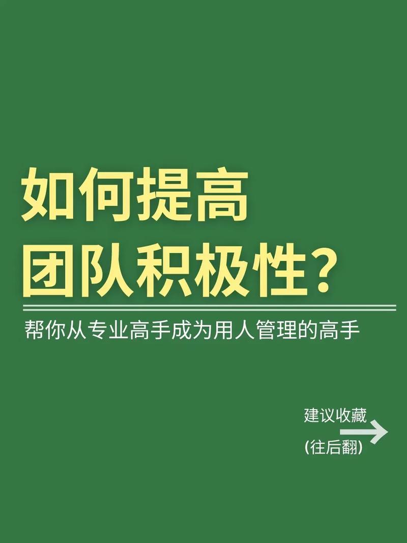 卓越的网络团队,构建高效合作生态系统