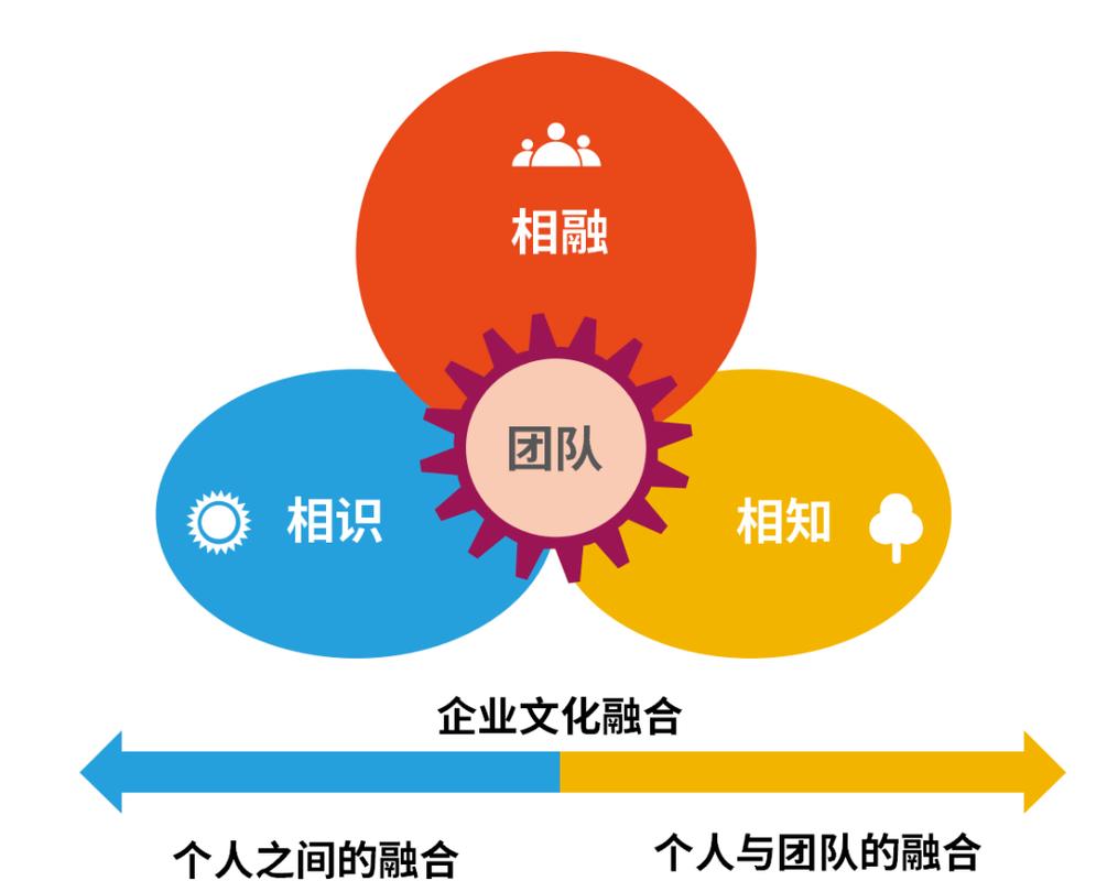 卓越的网络团队,构建高效合作生态系统