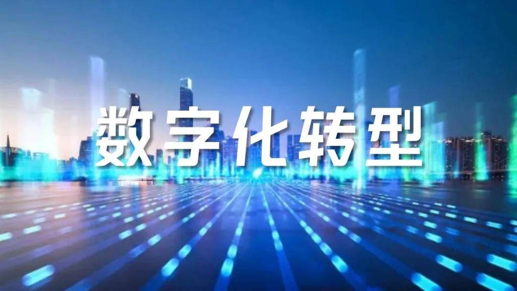 网络公司,助力商业数字化转型的神秘力量