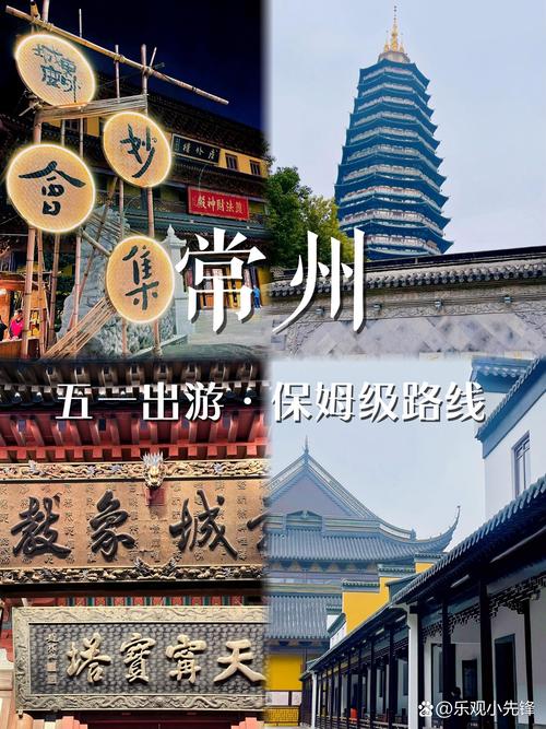 常州微子网络，深度探索你的旅游之旅