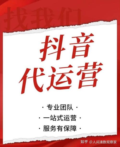 抖音浏览量提升指南,内容优化与广告投放之双轮驱动