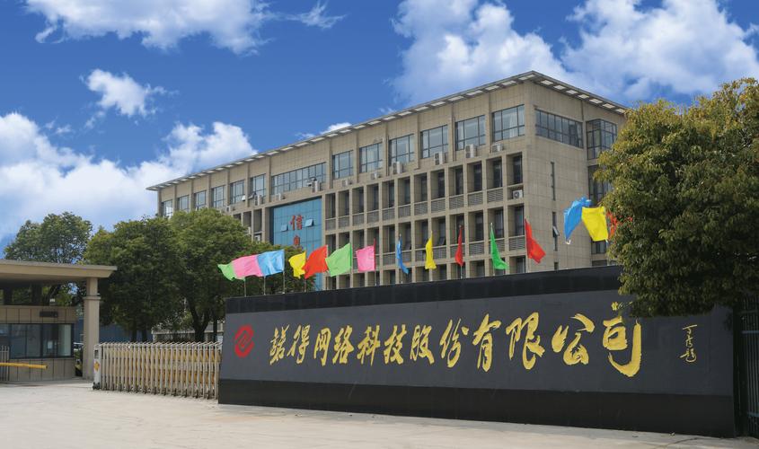 大连网络技术有限公司,数字时代的创新者