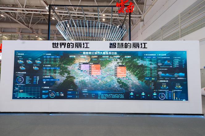 丽江网络开发公司，助力 digital转型的智慧之选