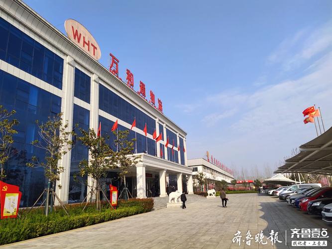 聊城知名网络公司,引领聊城网络时代潮流