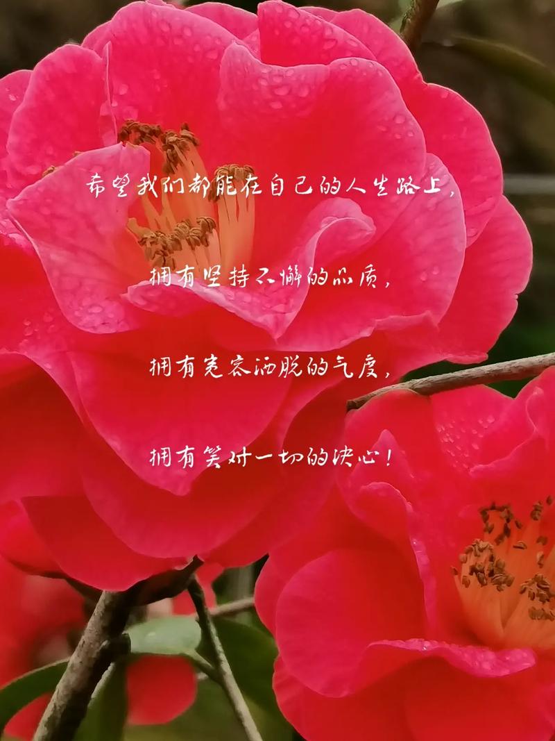 抖音活人赞平台，让生活更美好