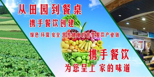 天津餐饮行业,从概念到建设,构建现代化服务网络