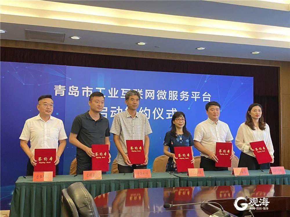 青岛网络公司，如何分析其盈利潜力？
